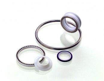 El sello de PTFE, primavera activó el sello del Teflon, sello rotatorio del Teflon, sello estático de PTFE
