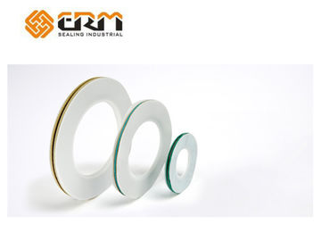 Juntas del sobre del reborde PTFE